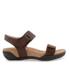 Dk Brown